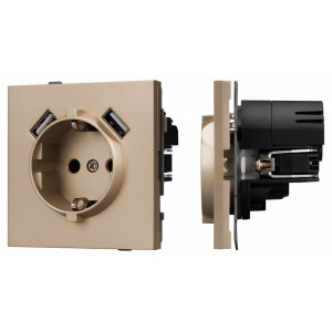 Розетка с заземлением и 2хUSB type A, без рамки Arlight SCT-TENDO 054085 Розетка с заземлением и 2хUSB type A, без рамки Arlight SCT-TENDO 054085