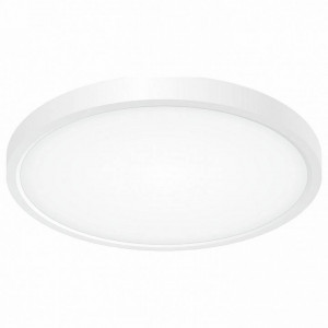 Накладной светильник Citilux Бейсик CL738240V