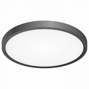 Накладной светильник Citilux Бейсик CL738241V