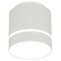 Накладной светильник Citilux Борн CL745020N