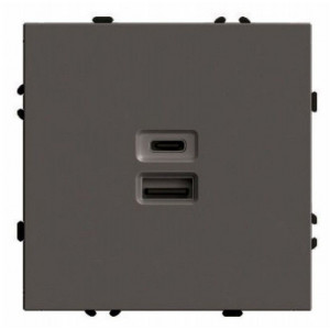 Розетка USB и type C без рамки Stekker Эмили 49931