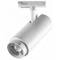 Светильник на штанге Lightstar Fuoco P+CCT 218026