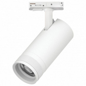 Светильник на штанге Lightstar Canno Pro C4206SS