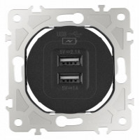 Розетка USB, без рамки Arte Milano am-202 202.46-1.black