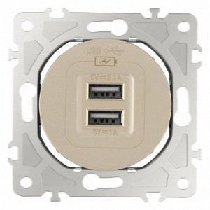 Розетка USB, без рамки Arte Milano am-202 202.46-1.shampan Розетка USB, без рамки Arte Milano am-202 202.46-1.shampan