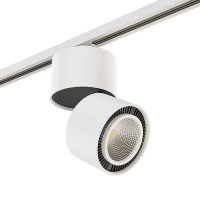 Накладной светильник Lightstar Forte Muro A1T213816