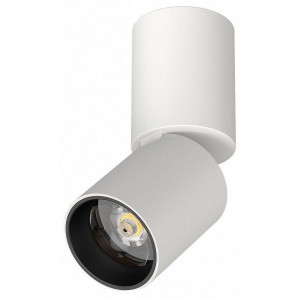 Светильник на штанге Lightstar Volta CCT 227006