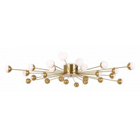 Потолочная люстра Freya Celebrity FR5242CL-24BS