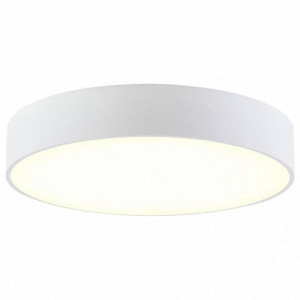 Накладной светильник Citilux Тао CL712240N