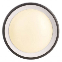 Накладной светильник Deko-Light Canis 731043