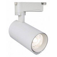 Светильник на штанге Escada 20031 20031TRA/01LED SWH