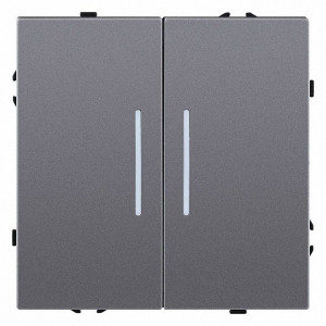 Выключатель двухклавишный с подсветкой без рамки Kollinger Eclipse EC-010GY Выключатель двухклавишный с подсветкой без рамки Kollinger Eclipse EC-010GY