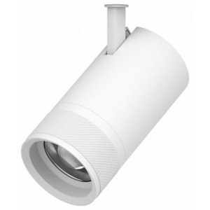 Светильник на штанге Lightstar Canno Pro 304406
