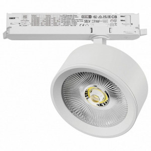 Светильник на штанге Lightstar Alta Pro A5646DALI