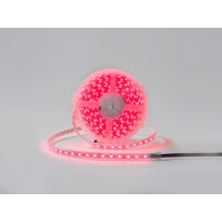Лента светодиодная DesignLed DSG560 00-00001489