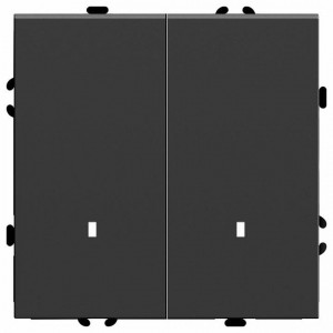 Выключатель двухклавишный с подсветкой без рамки Stekker RSW10-5102-05 49838 Выключатель двухклавишный с подсветкой без рамки Stekker RSW10-5102-05 49838