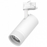Светильник на штанге Lightstar Canno Pro C4306QT