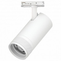 Светильник на штанге Lightstar Canno Pro C4306SS