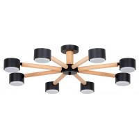 Потолочная люстра Arte Lamp TENDA 8 ламп A1624PL-8BK
