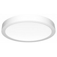 Накладной светильник Citilux Галс CL5522N
