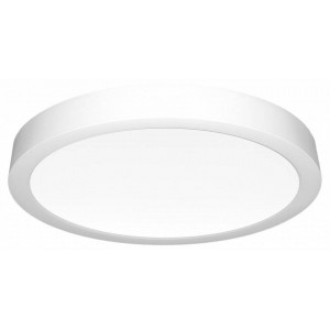 Накладной светильник Citilux Галс CL5522N