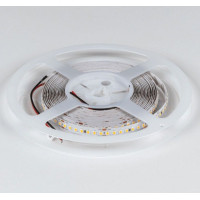 Лента светодиодная DesignLed DSG2168 00-00001821