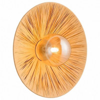 Накладной светильник Lussole Sunflower LSP-5009