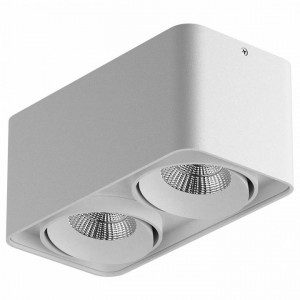 Накладной светильник Lightstar Monocco 212526