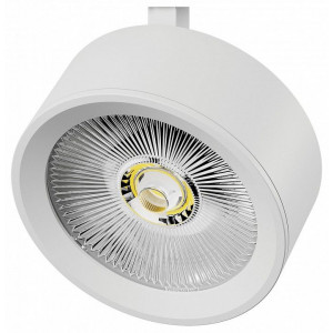 Плафон металлический Lightstar Alta Pro 215636