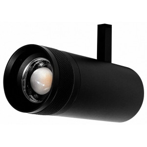 Светильник на штанге Lightstar Canno Pro 304207