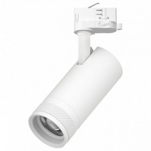 Светильник на штанге Lightstar Canno Pro C4206QT