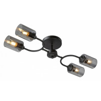 Потолочная люстра Vitaluce V2823 V2823-1/4PL