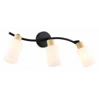 Спот Ambrella Light TR TR8722