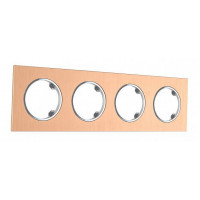 Рамка на 4 поста Arte Milano am-502.11 502.11-4.pink