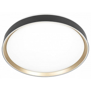 Накладной светильник Citilux BOSS CL751451G