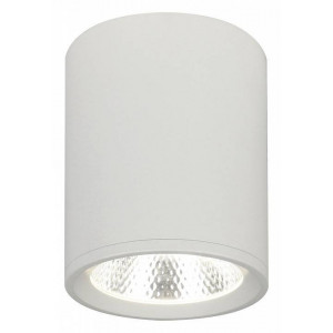 Накладной светильник Escada 20003 20003SMU/02LED SWH