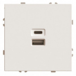 Розетка USB и type C без рамки Stekker Эмили 49905