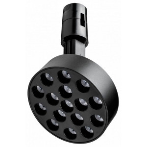 Светильник на штанге Lightstar Due Hermes 210747