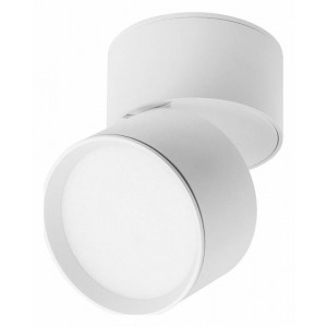 Накладной светильник Lightstar Acuto 215836