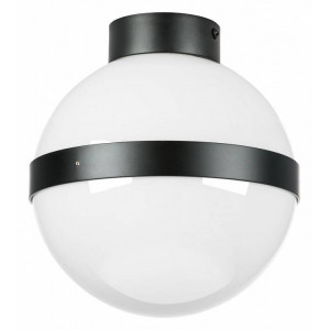 Накладной светильник Lightstar Globo 812117