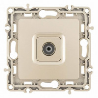 ТВ-розетка без рамки Arte Milano am-217 217.43-1.shampan