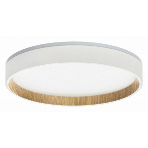 Накладной светильник Citilux Etalon CL750240