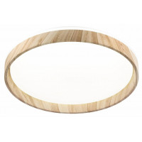 Накладной светильник Citilux ENZO CL753452G