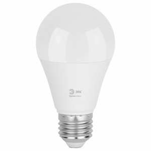 Лампа светодиодная ЭРА Green Line Груша A60 20 Вт E27 6500 К LED A60-20W-865-E27 GL