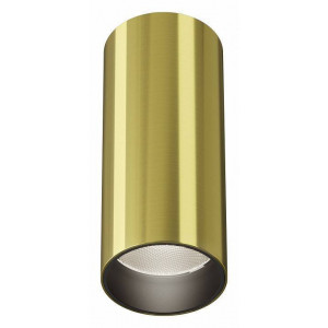 Накладной светильник Maytoni FOCUS LED C056CL-L12W4K-W-BS