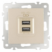 Розетка USB, без рамки Arte Milano am-206 206.46-1.shampan