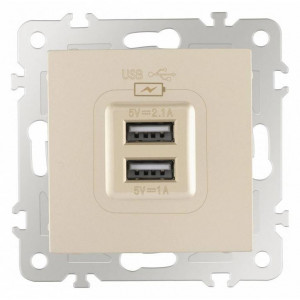Розетка USB, без рамки Arte Milano am-206 206.46-1.shampan Розетка USB, без рамки Arte Milano am-206 206.46-1.shampan