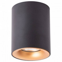 Светильник потолочный накладной Arte Lamp Torre 1xGX53 черный A1532PL-1BK