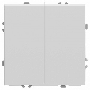 Выключатель двухклавишный без рамки Stekker RSW10-5107-01 49869 Выключатель двухклавишный без рамки Stekker RSW10-5107-01 49869