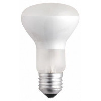 Лампа накаливания Jazzway  R63 40W E27 frost